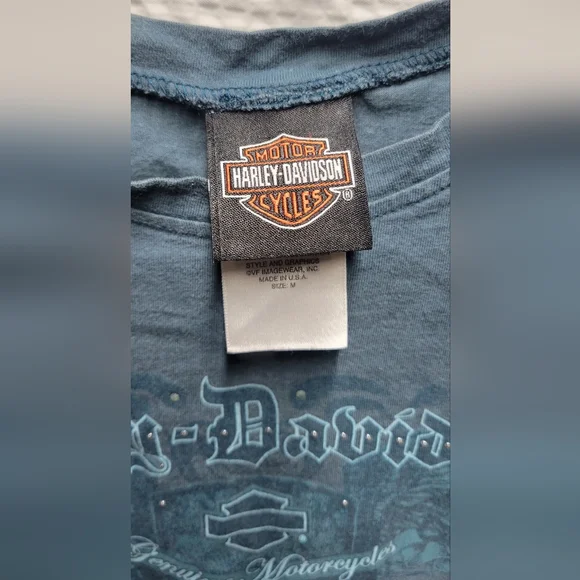 Harley-Davidson Gray and Blue Graphic Tee - Picture 5 of 8